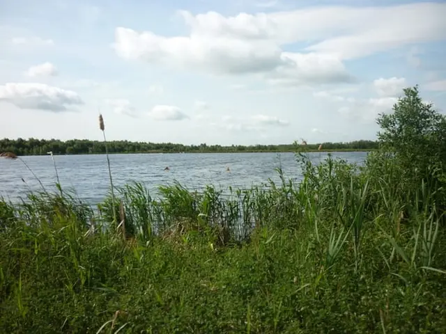 A lake on Thorne Moor